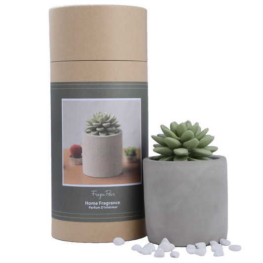 Succulent in Planter Diffuser Gift Set - Frozen Pear