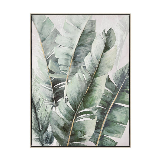 Musa 2 Framed Art