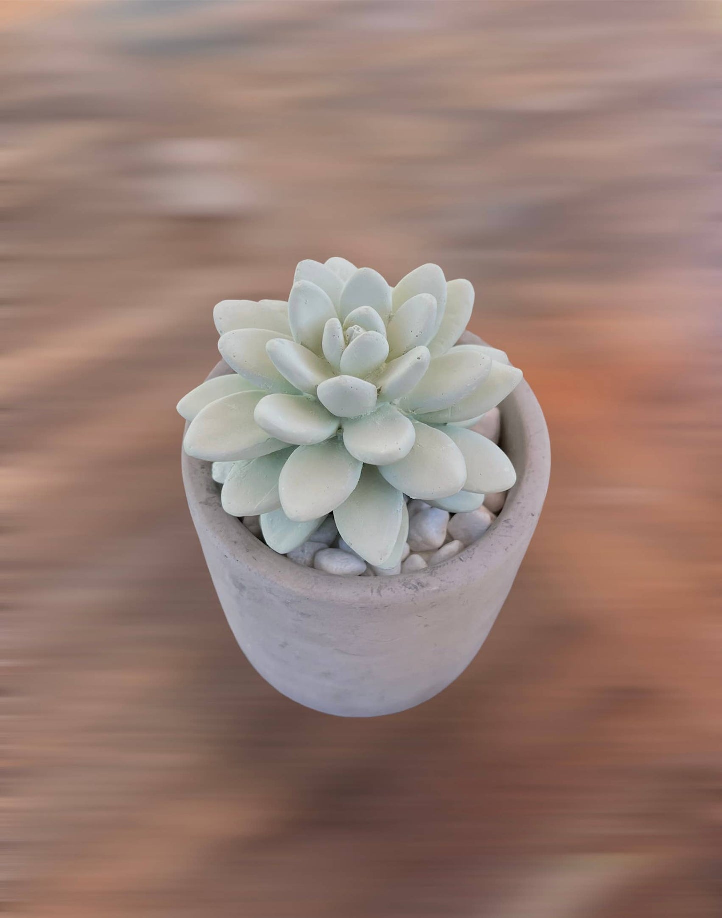 Succulent in Planter Diffuser Gift Set - Frozen Pear