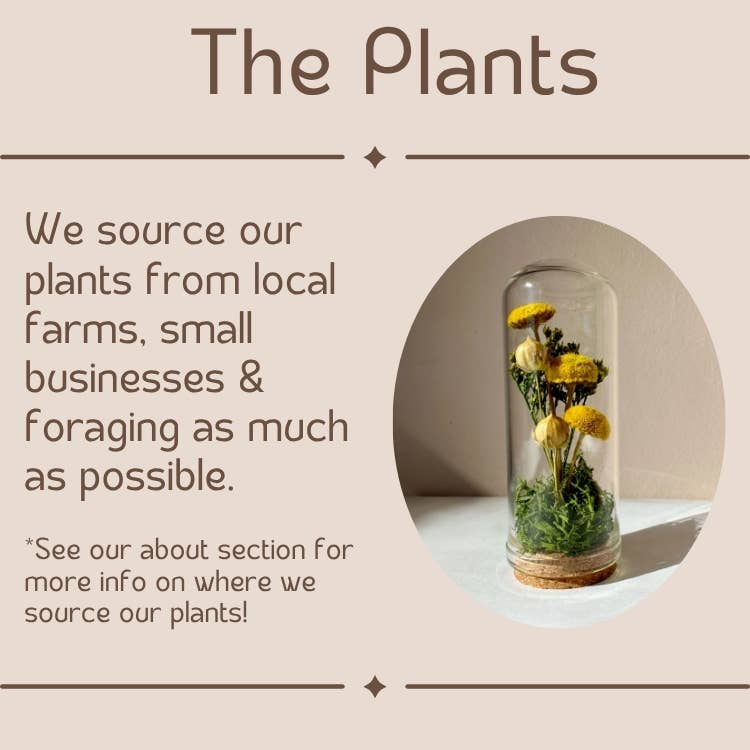 Large Botanical Glass Terrarium Jar w. Blue Dried Florals