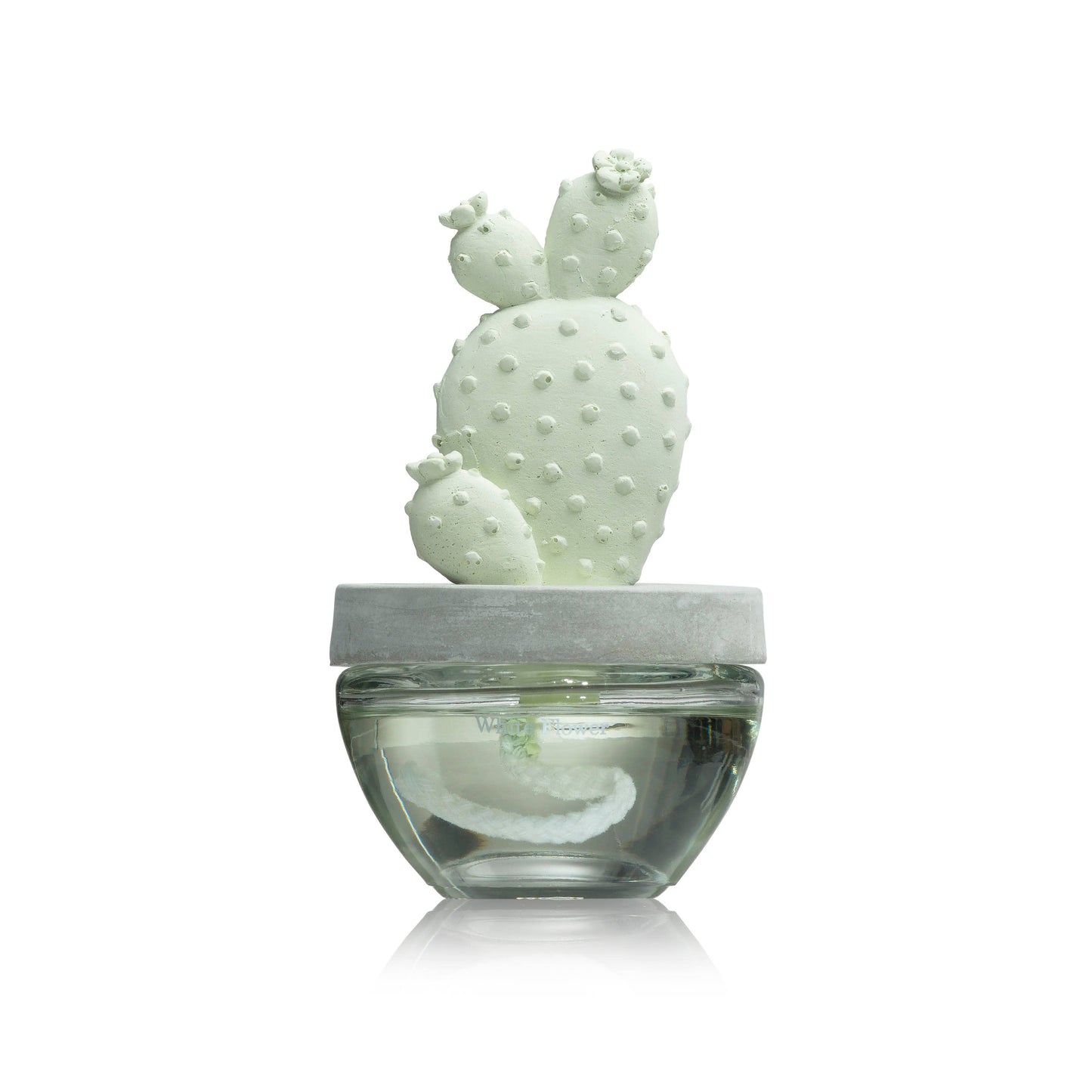 Cactus - Bunny Ear Cactus ceramic diffuser gift set - 100ml